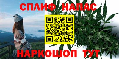 твердый Коммунар